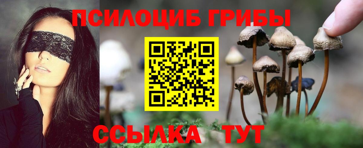 где купить   Галлюциногенные грибы Cubensis  Вход с VPN  Севастополь 